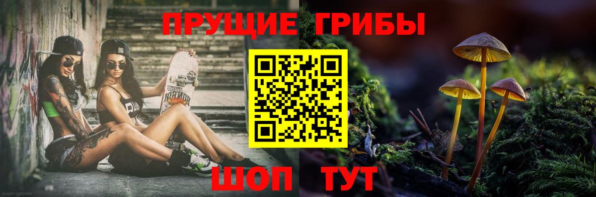 Галлюциногенные грибы мицелий Саянск